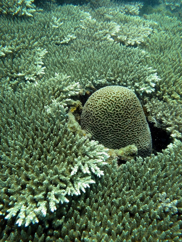 Underwater Times 3