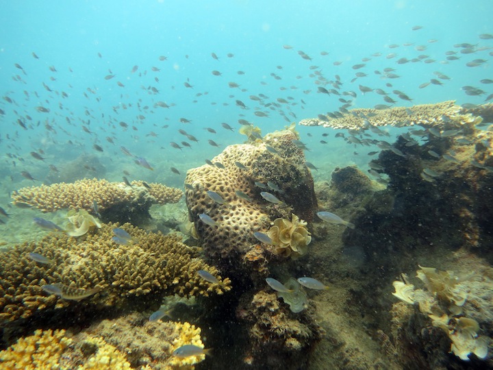 Underwater Times 18