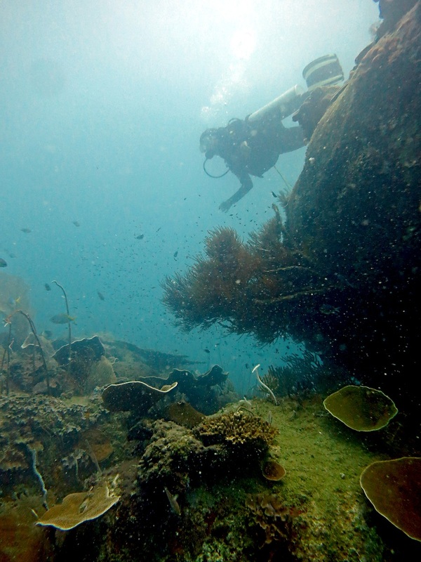 Underwater Times 25