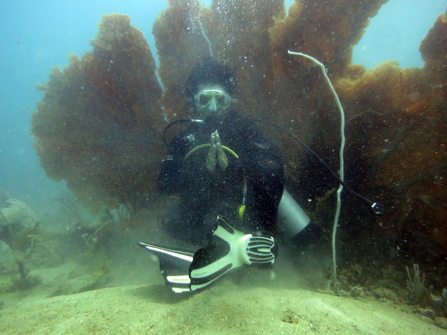 Underwater Times 26