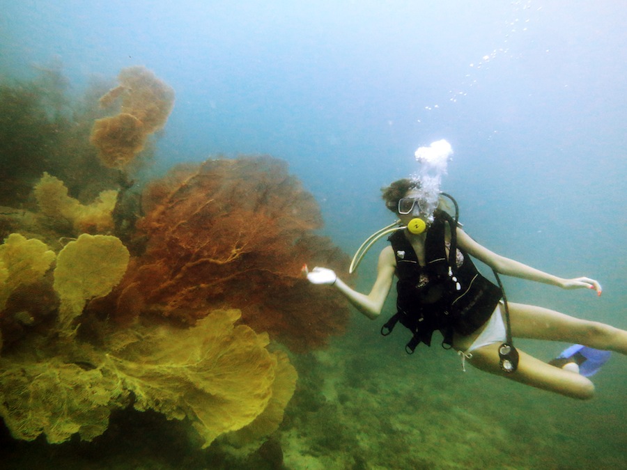 Underwater Times 30