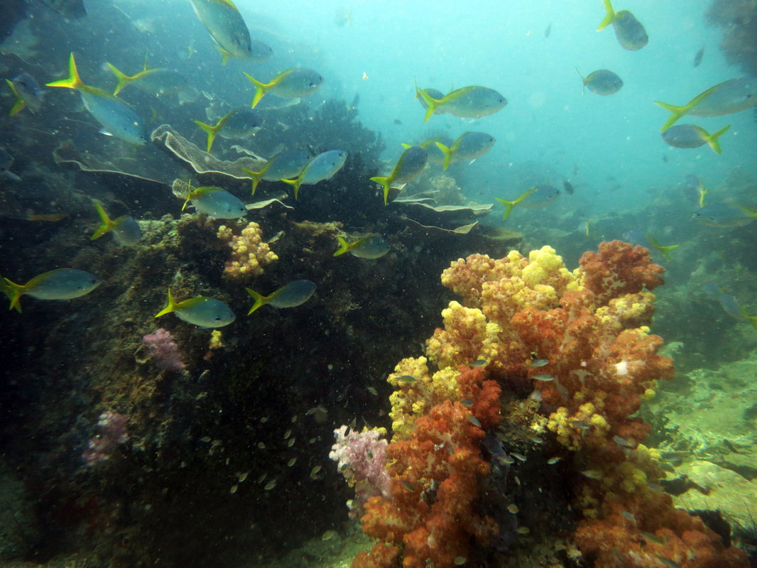 Underwater Times 54