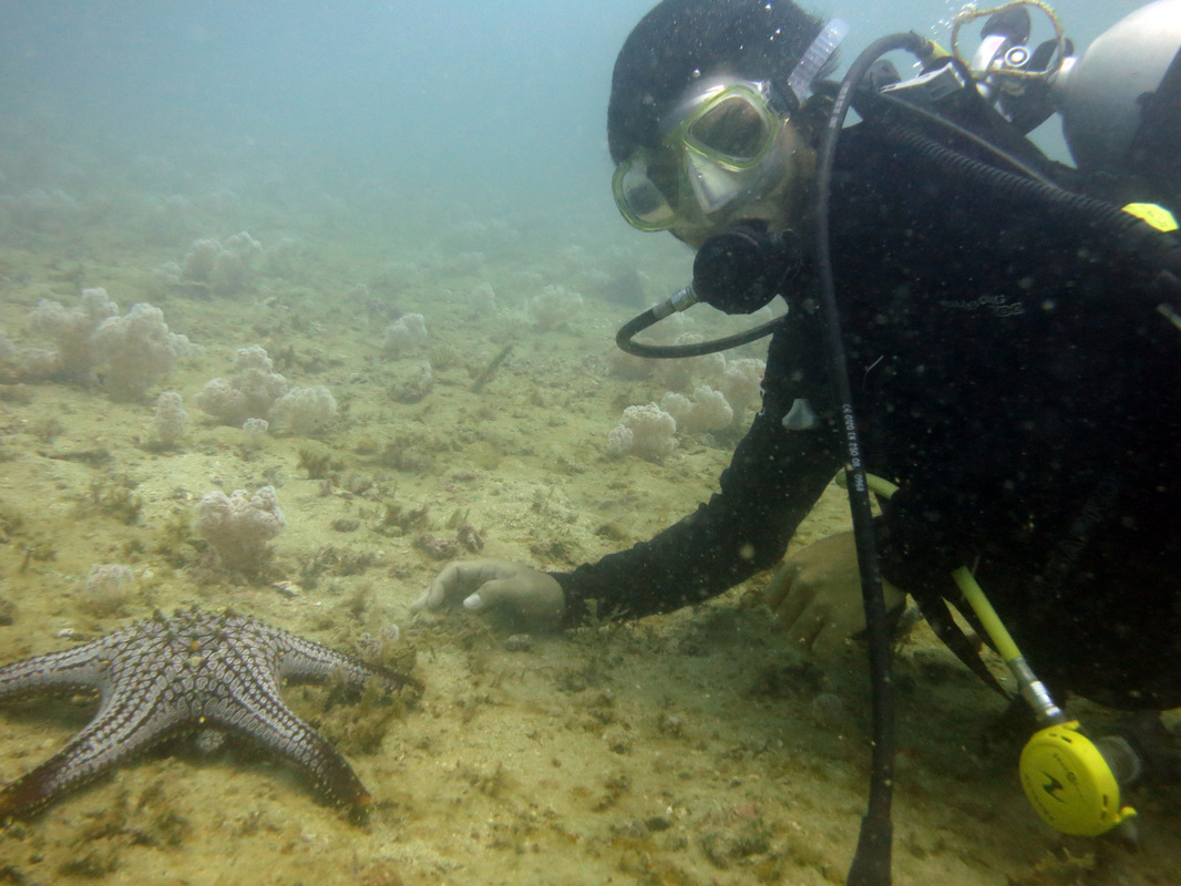 Underwater Times 70