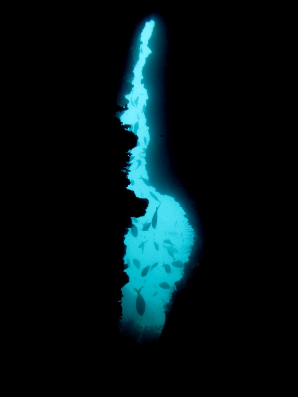 Underwater Times 77