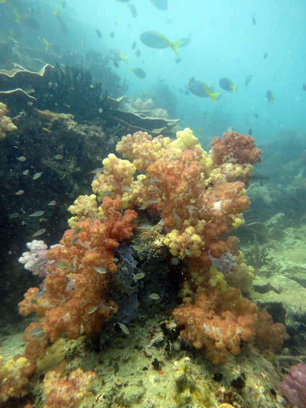 Underwater Times 88