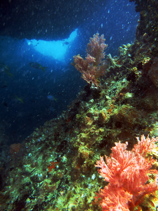 Underwater Times 89