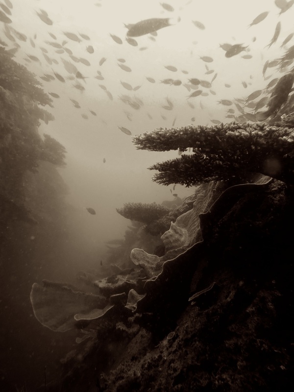 Underwater Times 112