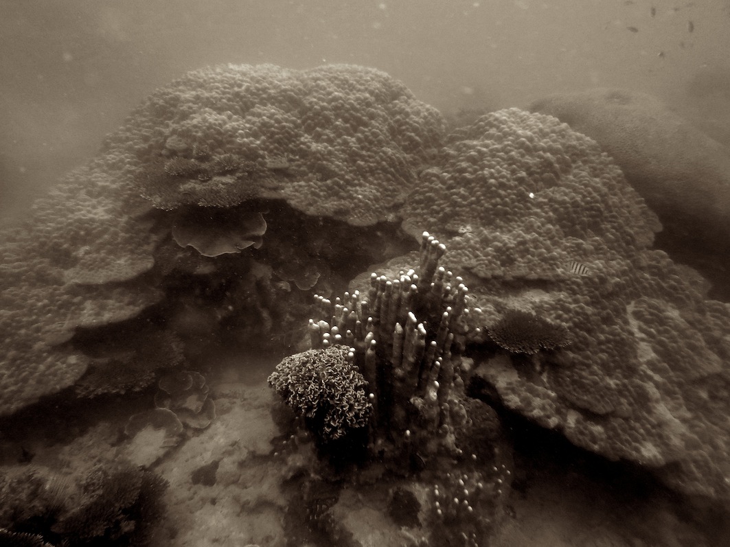 Underwater Times 117