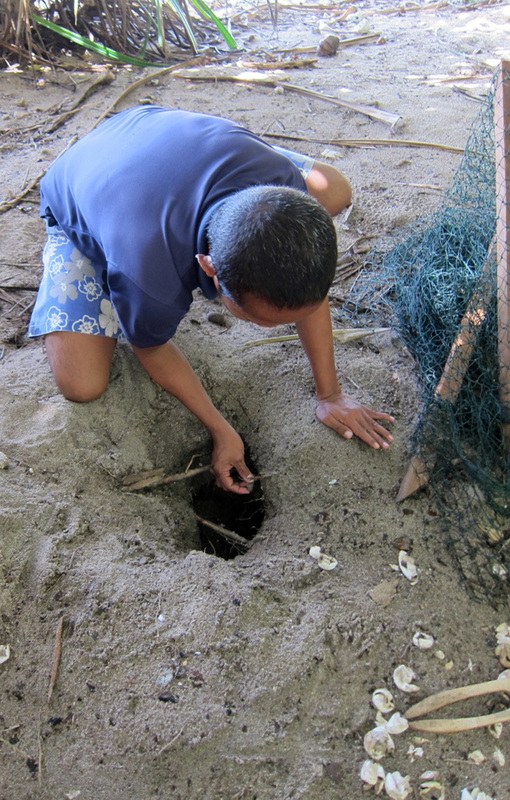 Conservation Surveys 142
