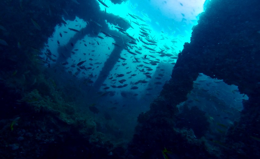 Dive Sites & Wrecks 49