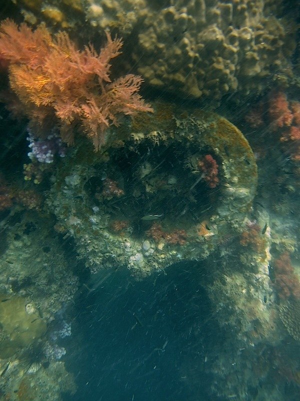 Dive Sites & Wrecks 57