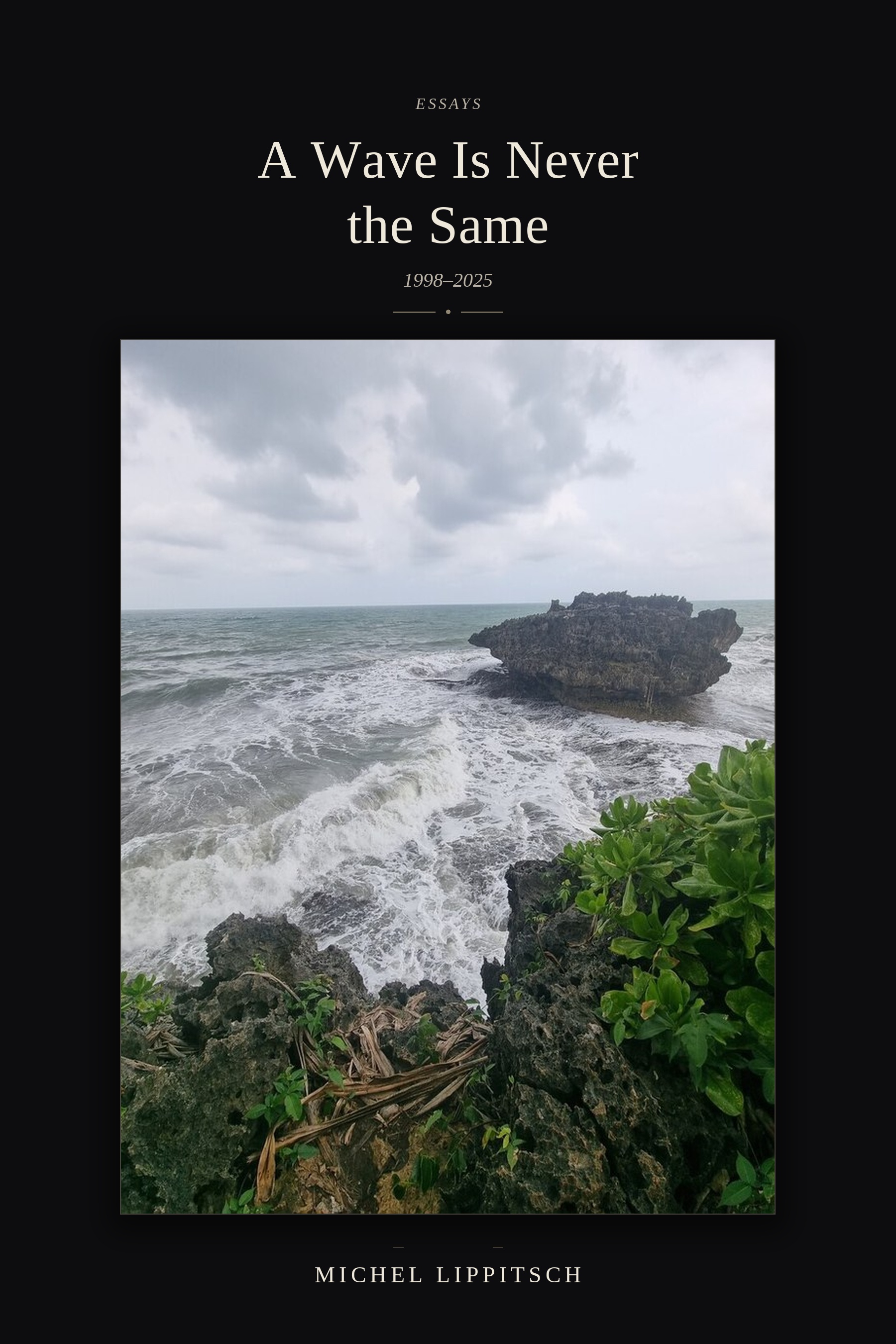 A Wave Is Never the Same — book cover