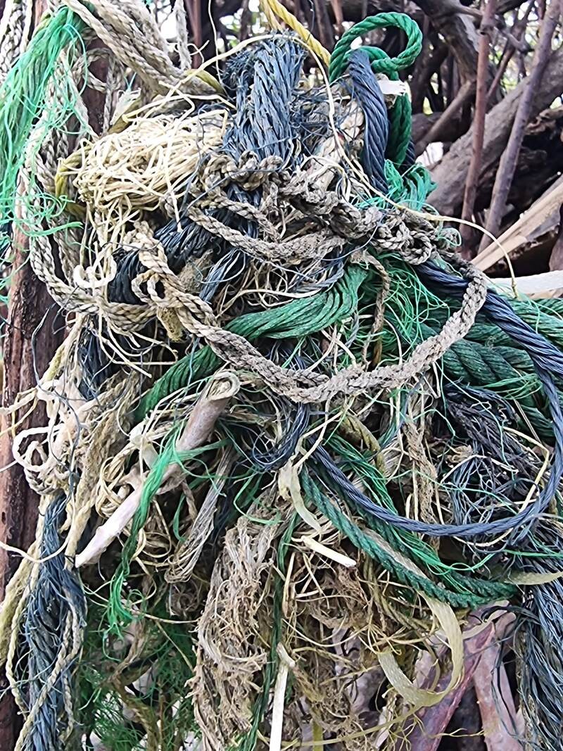 Weathered rope and knots