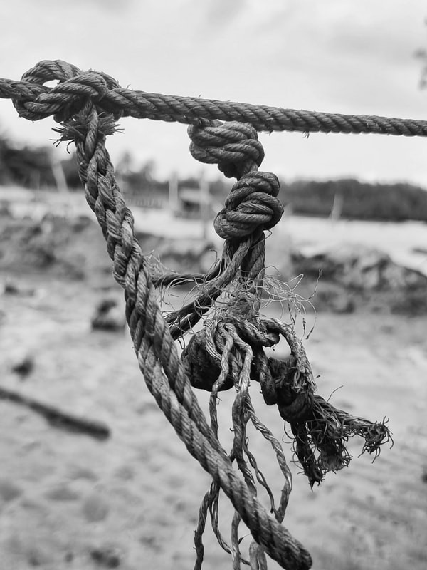 Weathered rope and knots 4