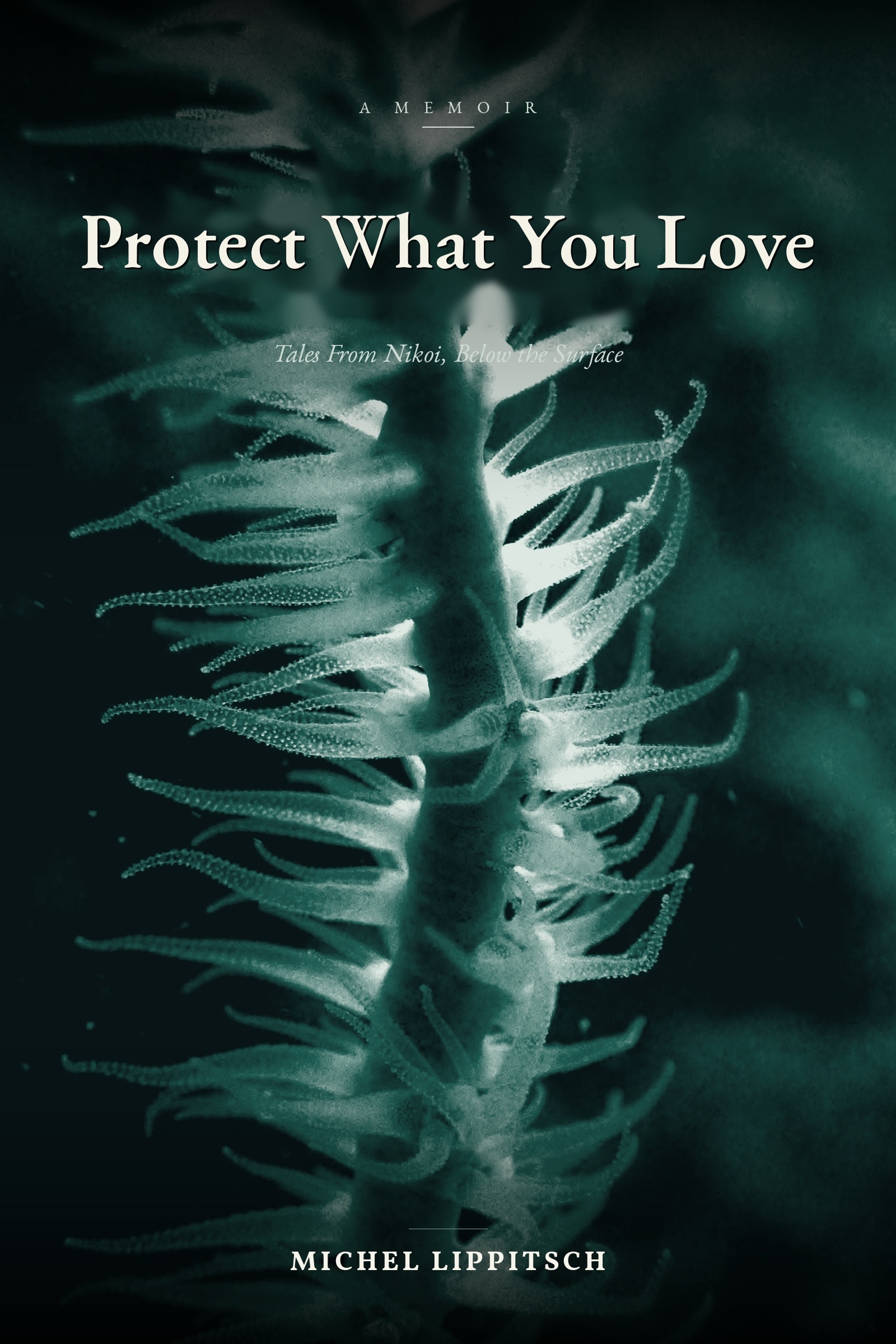 Protect What You Love — book cover