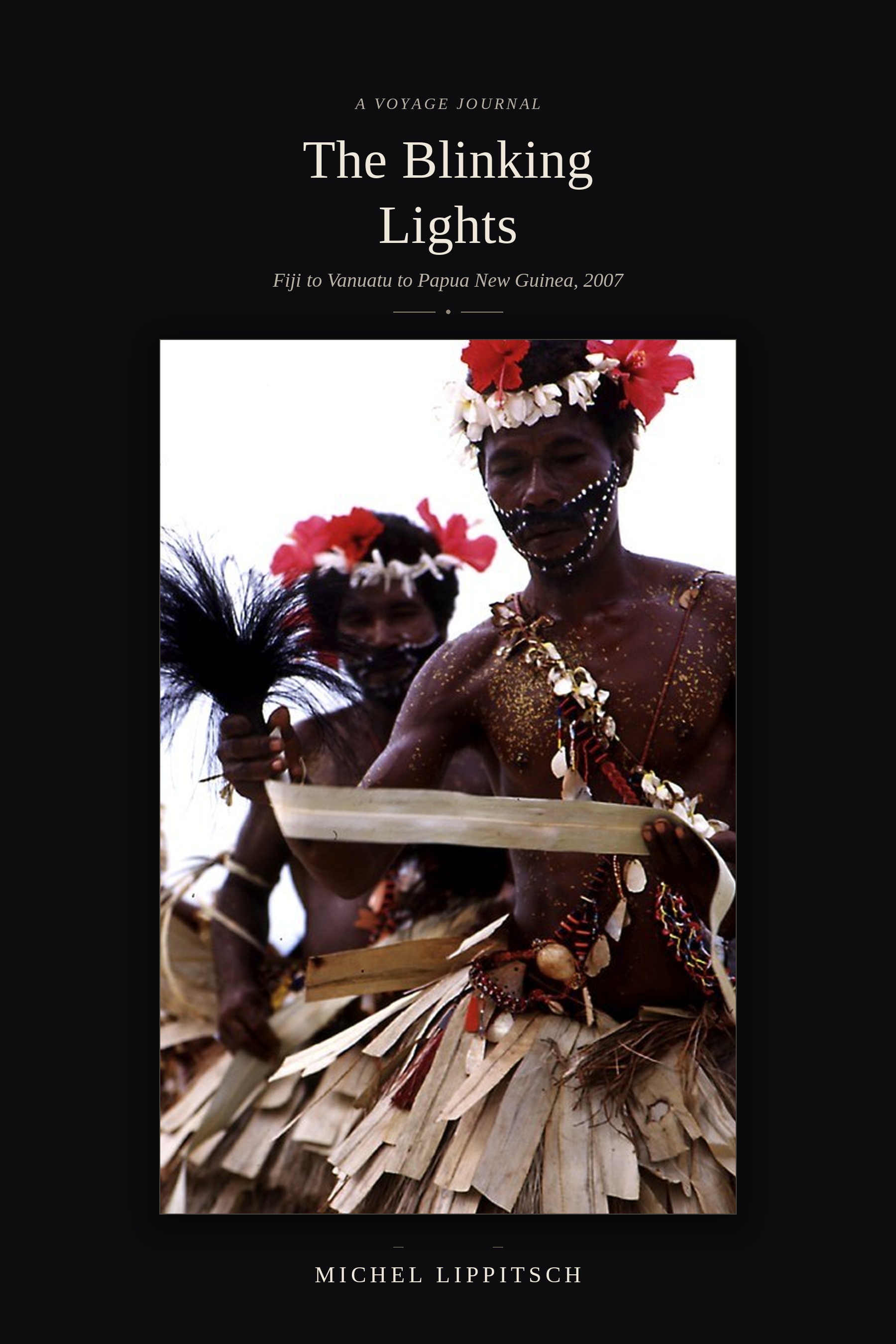 The Blinking Lights — book cover