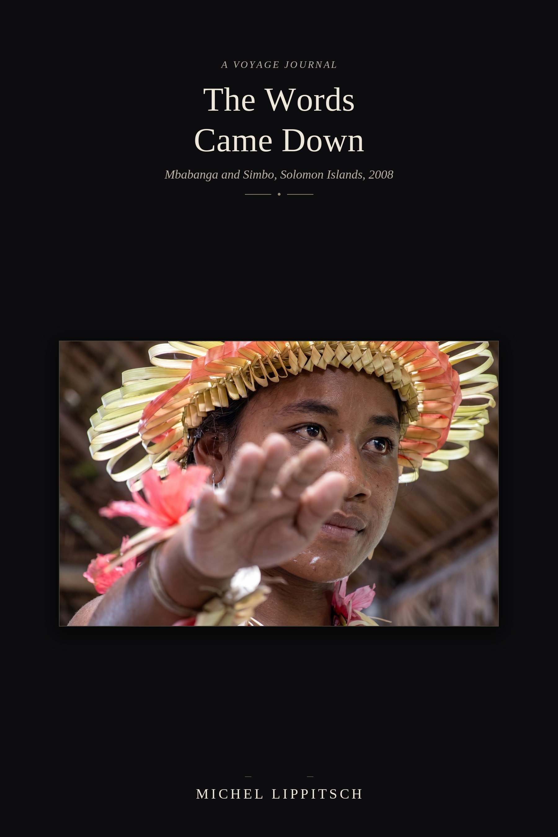 The Words Came Down — book cover
