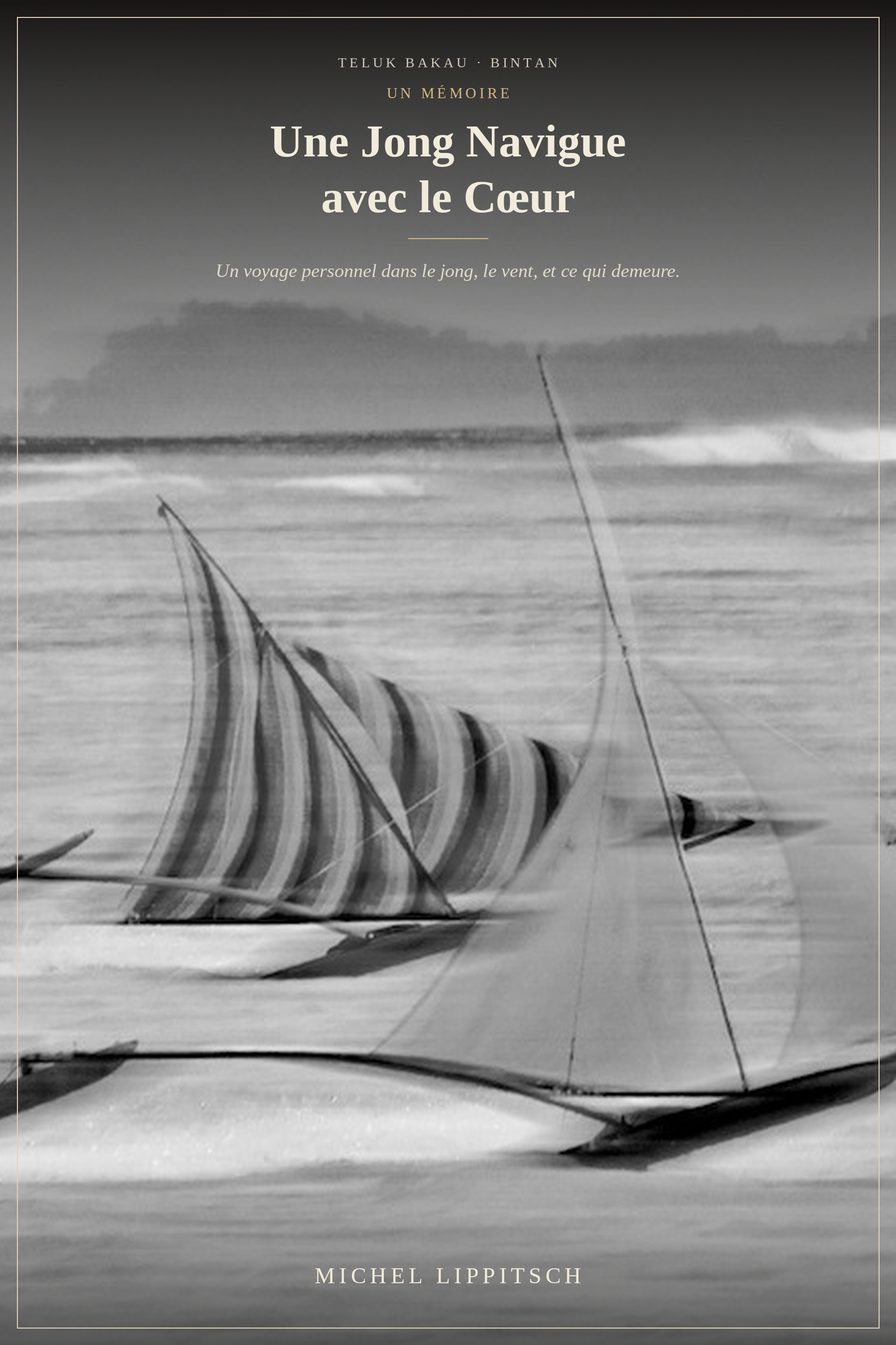 Une Jong Navigue avec le Cœur — book cover