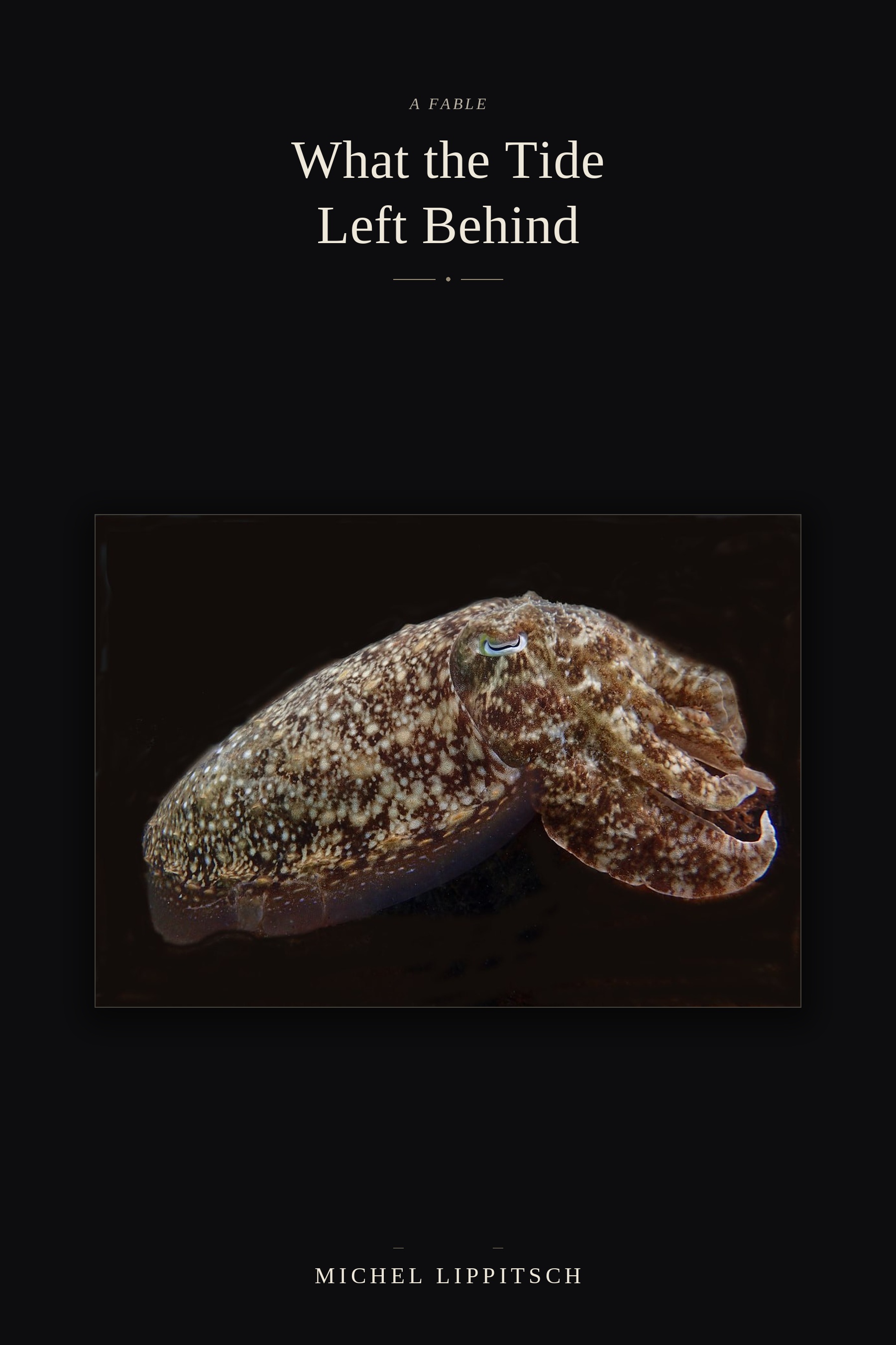 What the Tide Left Behind — book cover
