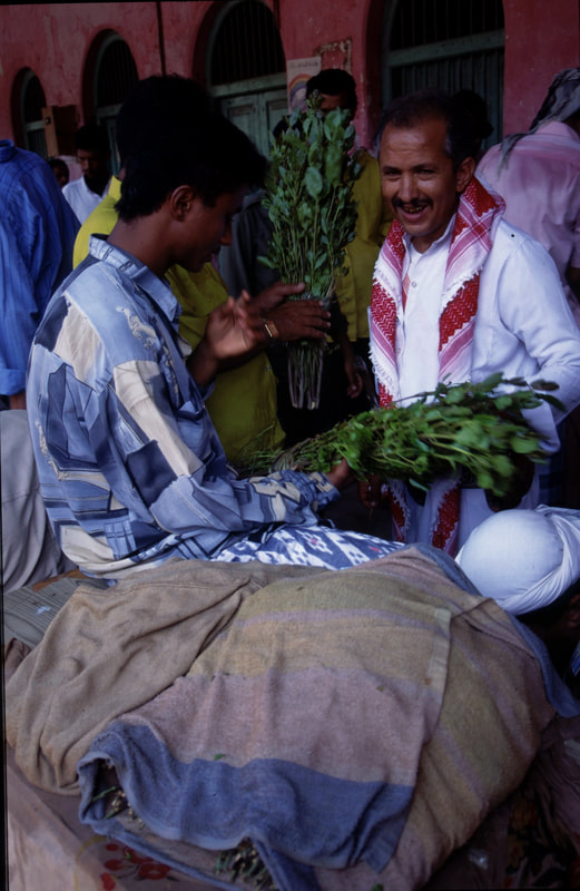 Aden's Kat market, 1996